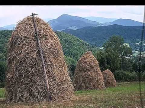 KOŠAT  VUČKY, KOŠAT  -  Štefan LUKACKO i Jan KARAFA