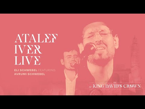 Eli Schwebel / Atalef Iver / אלי שוועבל / עטלף עיוור Feat. Avrumi Schwebel Live @ King David's Crown
