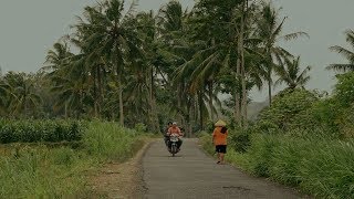 Trailer BHÂKO (The Golden Leaf)