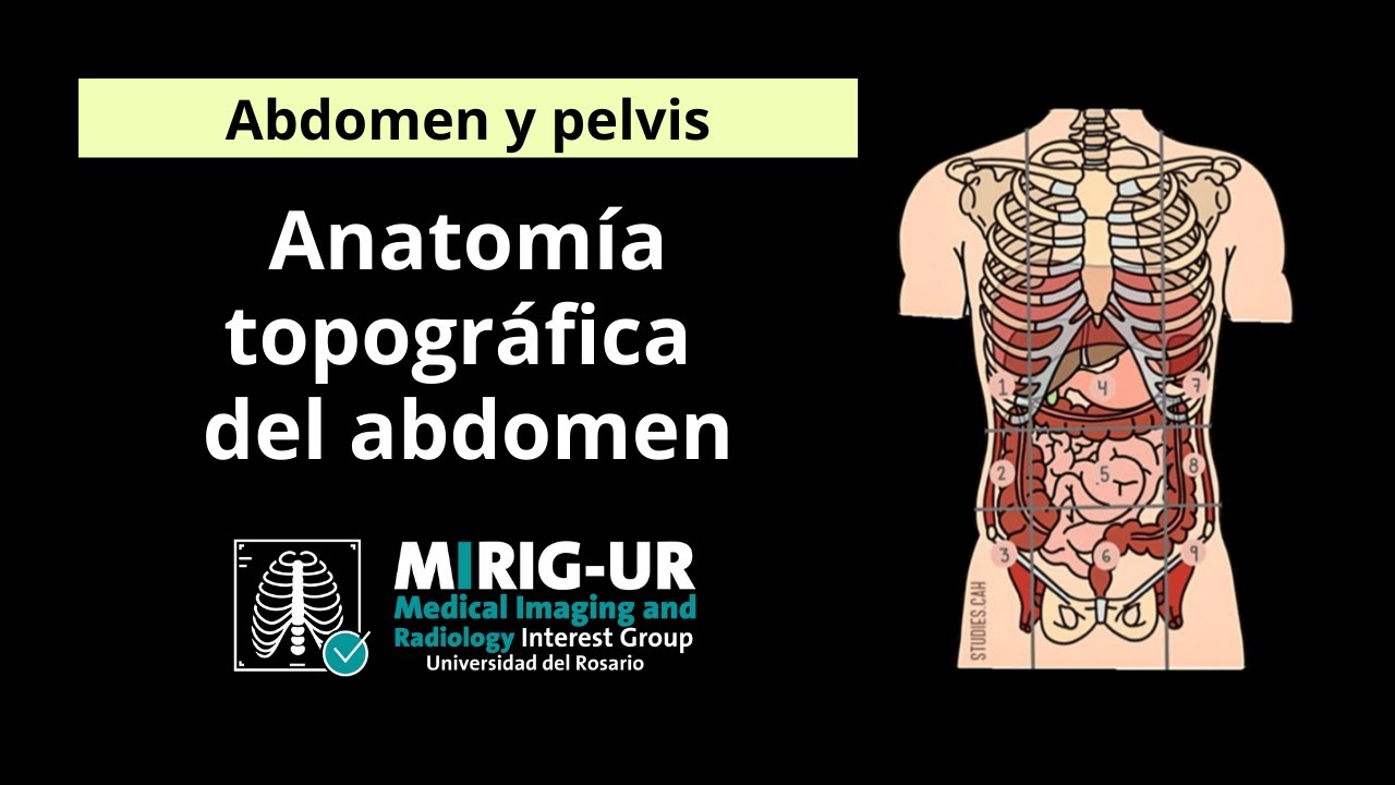 Anatomía Topográfica de abdomen-MIRIG_UR