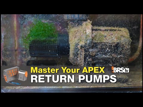 Return Pumps Will Fail. The Best Return Pump Will Tell You It Failed! | Neptune Apex Setup Guide