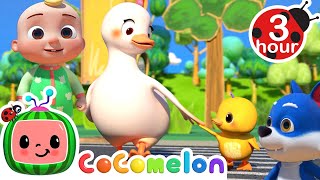 Cartoon Cartoon Watch HD Mp4 Videos Download Free Cartoon Cartoon Watch HD Mp4 Videos Download Free