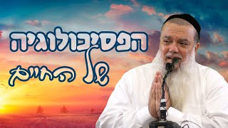 הרב יגאל כהן - הפסיכולוגיה של החיים (נהריה) (ארגון ענפים) - התמונה מוצגת ישירות מתוך אתר האינטרנט יוטיוב. זכויות היוצרים בתמונה שייכות ליוצרה. קישור קרדיט למקור התוכן נמצא בתוך דף הסרטון הרב יגאל כהן - הפסיכולוגיה של החיים (נהריה) (ארגון ענפים) - התמונה מוצגת ישירות מתוך אתר האינטרנט יוטיוב. זכויות היוצרים בתמונה שייכות ליוצרה. קישור קרדיט למקור התוכן נמצא בתוך דף הסרטון