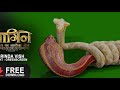 Naagin 4 Brinda And Vishaka Snake Fighting By QHD Channel