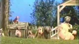 Sesame Street - With a Little YELP from my Friends