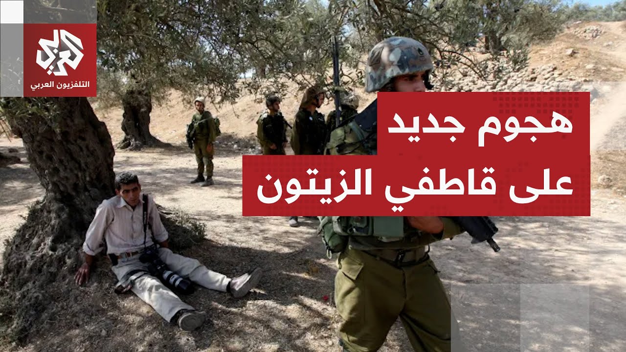 تحت حماية جيش الاحتلال.. مستوطنون يهاجمون قاطفي الزيتون في قرية المنية جنوب ش