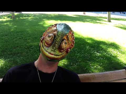 Sasquatch Josh - Chameleons