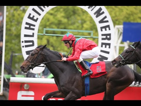 Mülheim: Preis der Galopprennbahn Mülheim-Raffelberg (D) - Sieger: Hot Beat