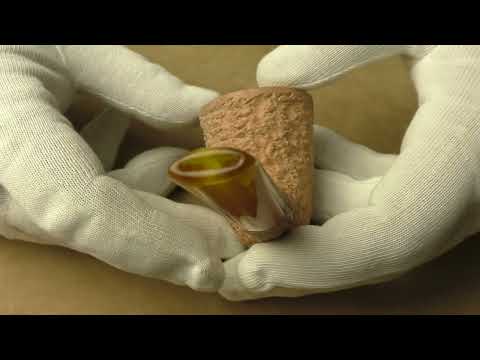 Radice Rind Pure - pipe 1733