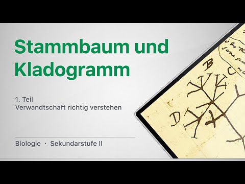 Stammbaum und Kladogramm, Teil 1 – Verwandtschaft richtig verstehen