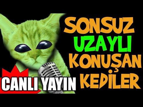 Gerçekten Sonsuz Uzaylı Konuşan Kediler Canlı Yayını - En Komik Kedi Videoları Canlı Yayın