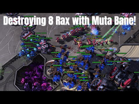 Beating Hellion Banshee into Bio with Muta Bane // Tryhard Thursday GotD