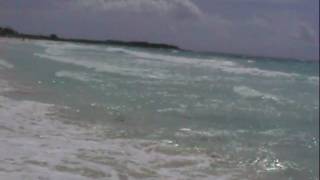 preview picture of video 'Donuvan's Vacay Part 2 - Catalonia Royal Tulum Beach'