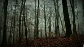 Winds with Hands - Always the Same