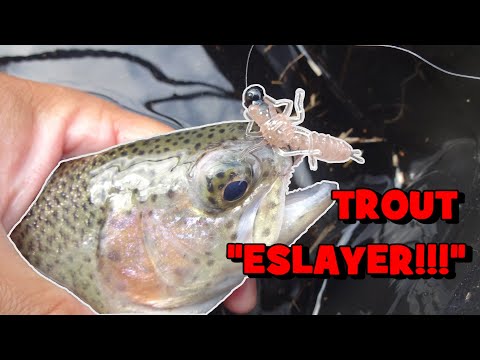 ESLAYING the PA Trout Opener Weekend w/ my SECRET WEAPON!