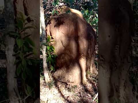 CAPRICHO DA NATUREZA... inscreva-se....