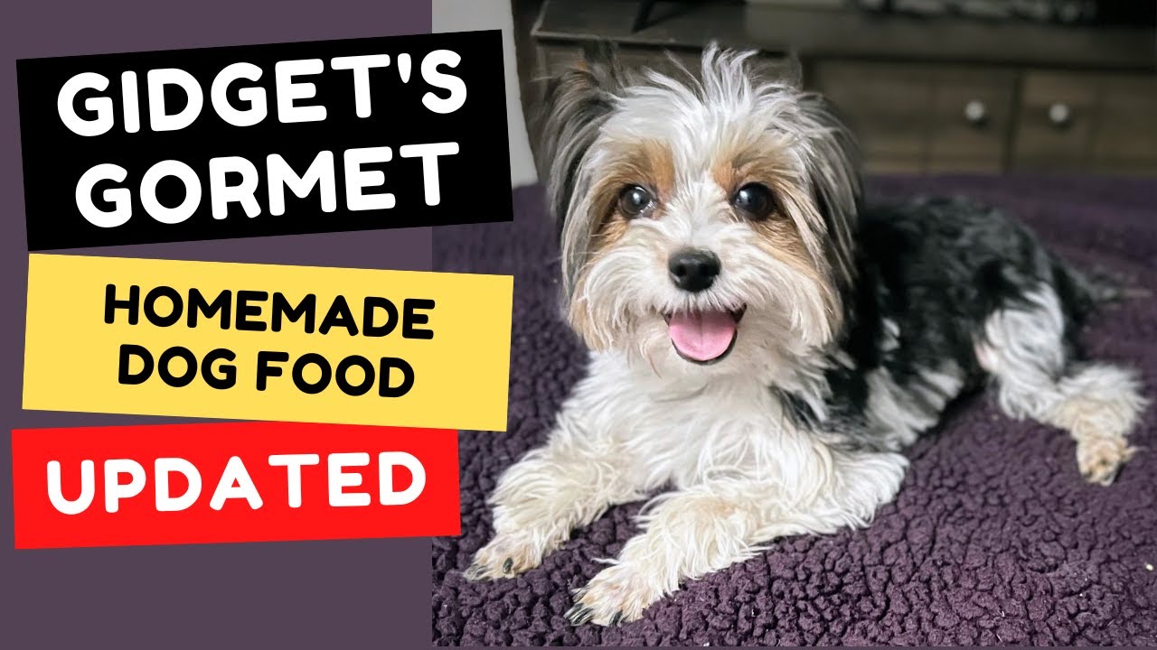 Gidget's Gourmet Homemade Dog Food: Updated!