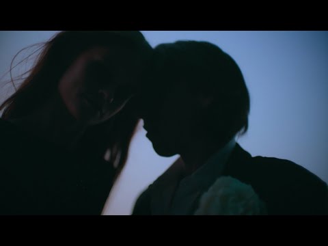 Bilderbuch - Nahuel Huapi / Daydrinking (official)