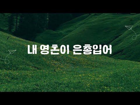영상
