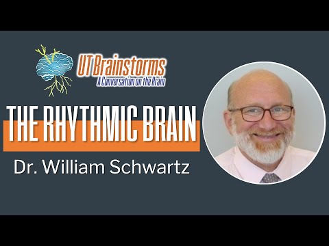 The Rhythmic Brain