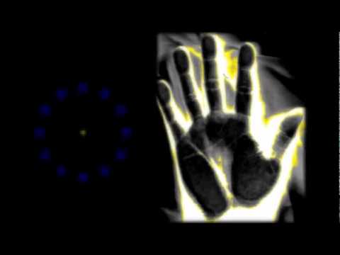 ALERT THIS WILL CHANGE YOUR LIFE! the jesus lizard Brian Ladd put your faith in our Lord God Jesus Christ www BriansDreams com and www BriansPrediction com