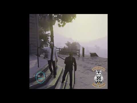 video image