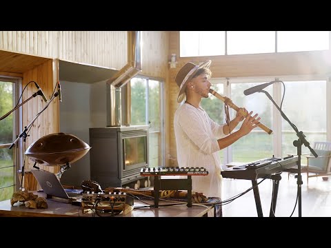 El Beso Del Árbol - Live from Isla La Rosana | Shamanic Organic Downtempo, Tribal Folktronica