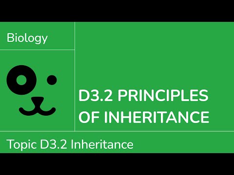D3.2 Principles of Inheritance [IB Biology SL/HL]