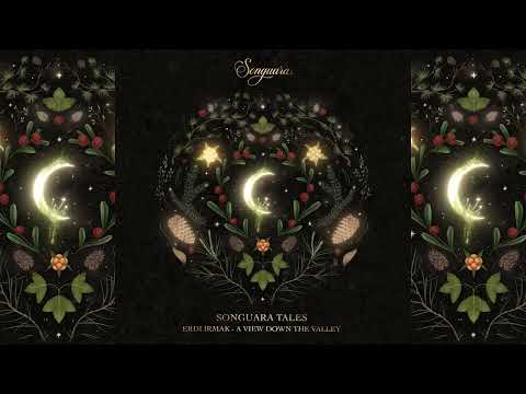 Erdi Irmak - A View Down the Valley (Extended Mix)