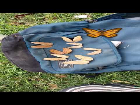 Hace tiempo0 Care Na x Harder