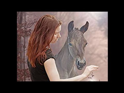 Wie ein Pferd zum Problempferd wird - eine Geschichte zum Nachdenken (Buchempfehlung)