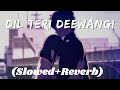 Dil Teri Deewangi Me Kho Gaya Hai Slowed Reverb Heera Jhankar Anand Raj Anand Slowedreverb