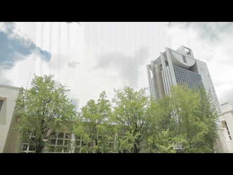 【施設紹介】庭