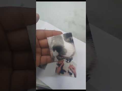 Video 2