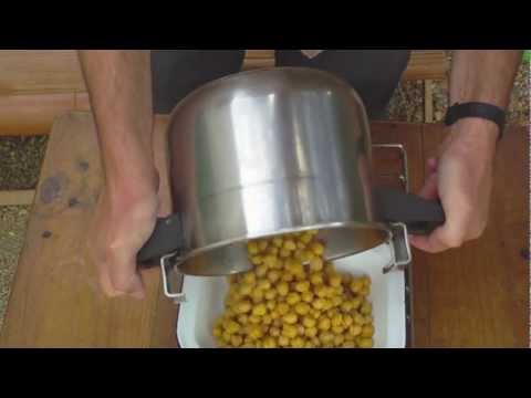 Cocido de garbanzos Cocido de garbanzos