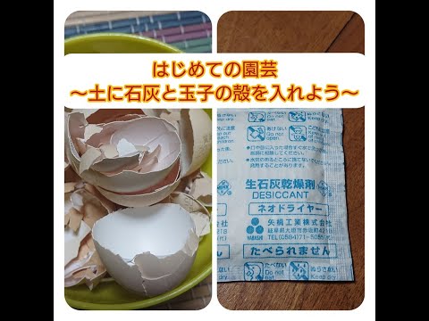 園芸 保水剤、乾燥対策ジェル