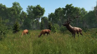 Dayz Livonia 実況3 　中サーバーの旅(後編)