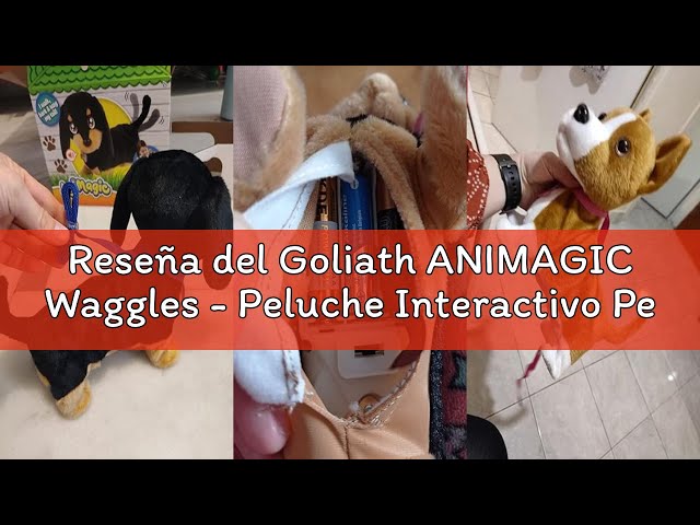 Vídeo relacionado con Goliath - ANIMAGIC - Perrito Tilly el Terrier - Peluche Interactiva - Juguete Electrónico Divertido - Camina, Ladra y Mueve la Cola - Para Niños a Partir de 2 Años - Pilas Incluidas