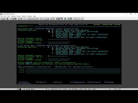 Master the mainframe Part Two Challenge 2