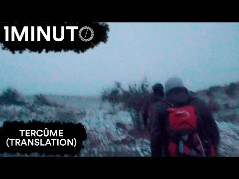 TERCÛME (TRANSLATION), Ômer Faruk Baran