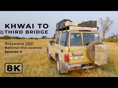 Khwai to Third Bridge | Botswana 2021 Ep 4 | Behind-the-scenes filming African wildlife in 8K