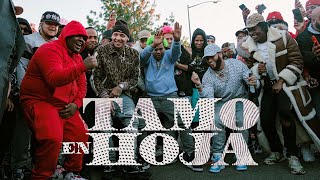 Tamo en Hoja Music Video