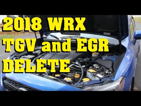 2018 Subaru WRX TGV and EGR Delete