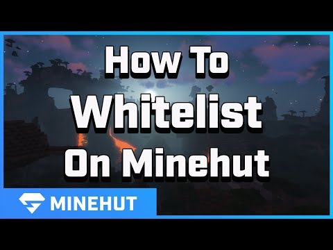 How to Whitelist People | Minehut 101