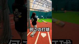 元プロ野球チア野澤彩華の弾丸ライナー #shorts