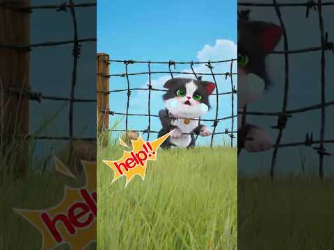 Video cover