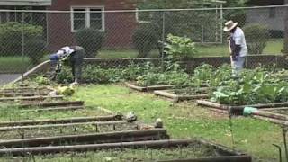 Urban Agriculture in Atlanta