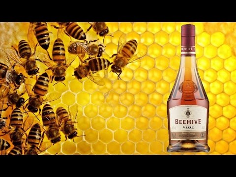 download lagu mp3 mp4 Beehive Brandy, download lagu Beehive Brandy gratis, unduh video klip Beehive Brandy