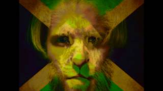 The Lion's Den (Instrumental) [HQ] - Troubadour