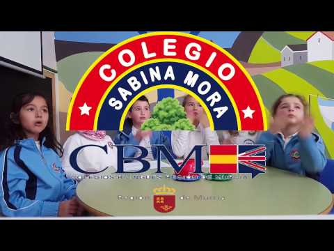 Vídeo Colegio Sabina Mora